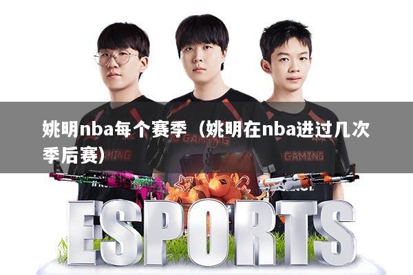 姚明nba每个赛季（姚明在nba进过几次季后赛）