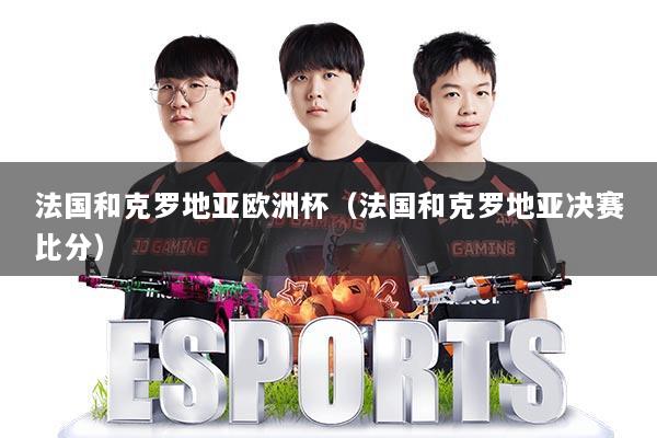 法国和克罗地亚欧洲杯（法国和克罗地亚决赛比分）