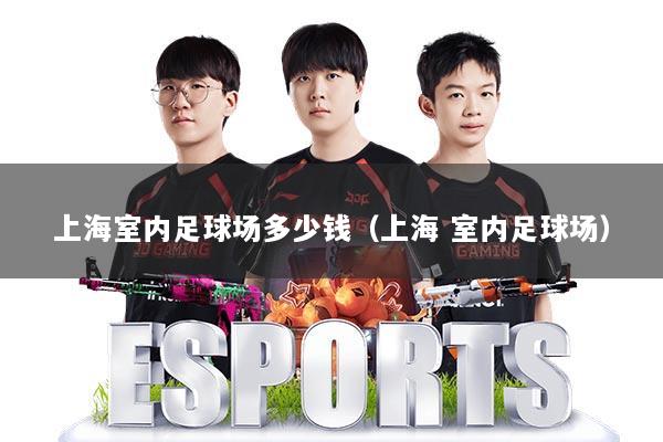 上海室内足球场多少钱（上海 室内足球场）
