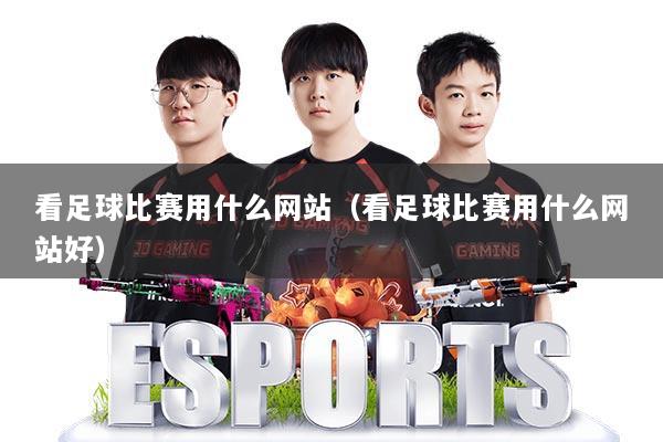 看足球比赛用什么网站（看足球比赛用什么网站好）