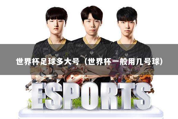 世界杯足球多大号（世界杯一般用几号球）