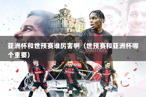 亚洲杯和世预赛谁厉害啊（世预赛和亚洲杯哪个重要）