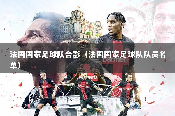 法国国家足球队合影（法国国家足球队队员名单）