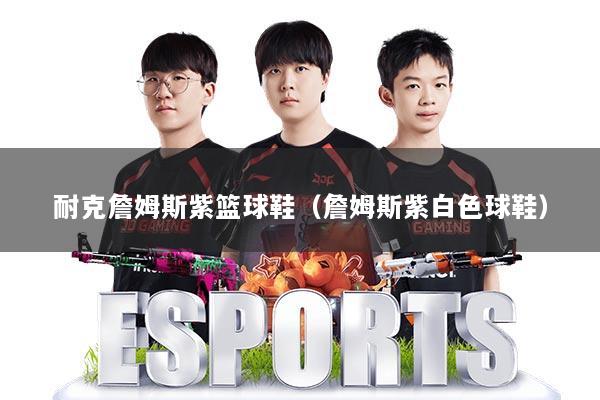 耐克詹姆斯紫篮球鞋（詹姆斯紫白色球鞋）