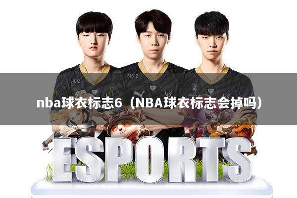 nba球衣标志6（NBA球衣标志会掉吗）